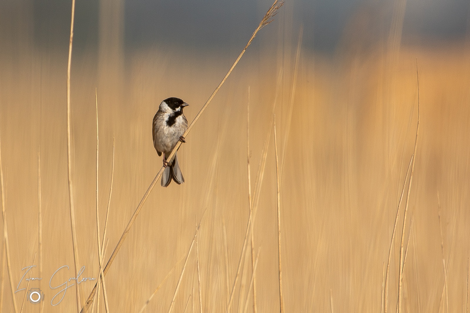 14 april 2022 094400  5D46032